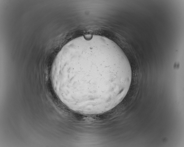 X0000113150703200910021502