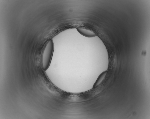 X0000113150704200910021502