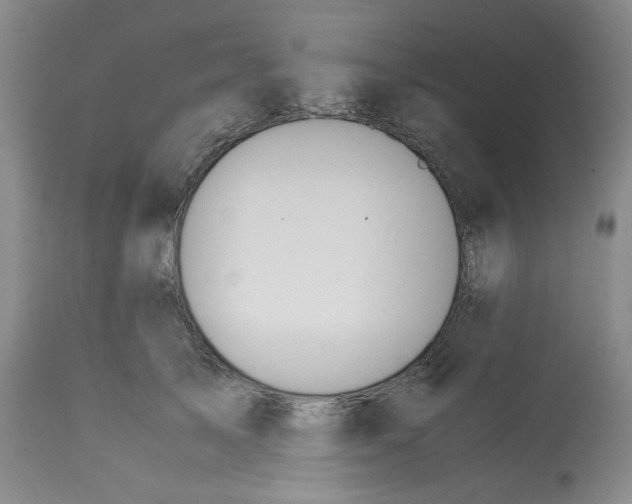 X0000113150705200910021502