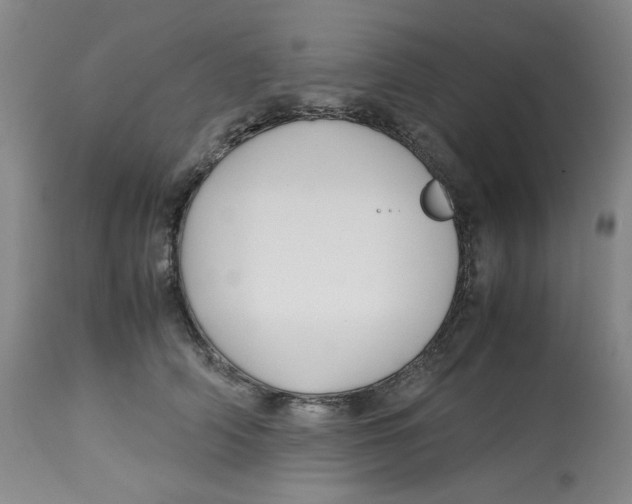 X0000113150706200910021502