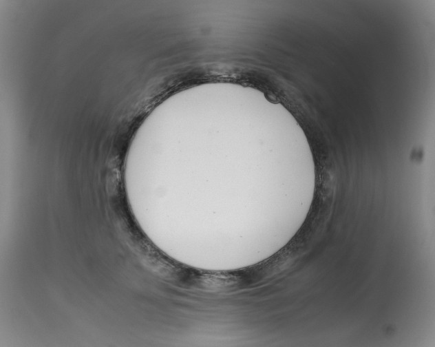 X0000113150707200910021502