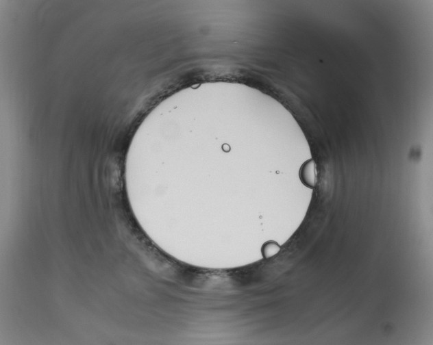 X0000113150715200910021502