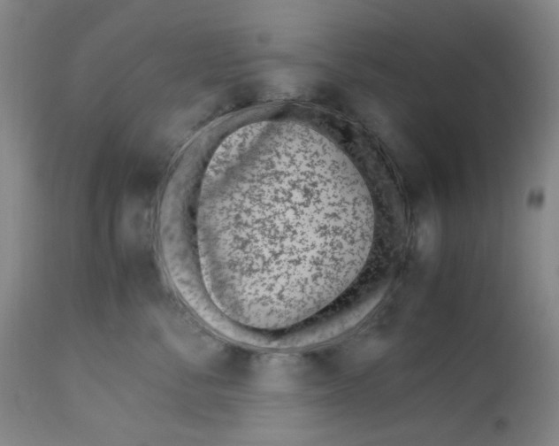 X0000113150716200910021502