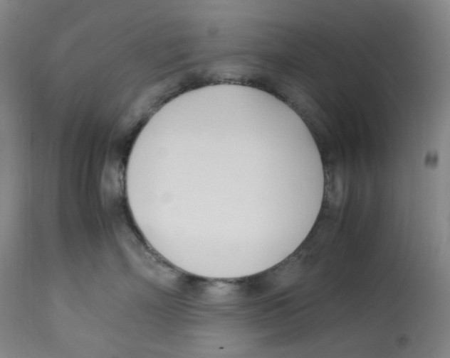 X0000113150718200910021502