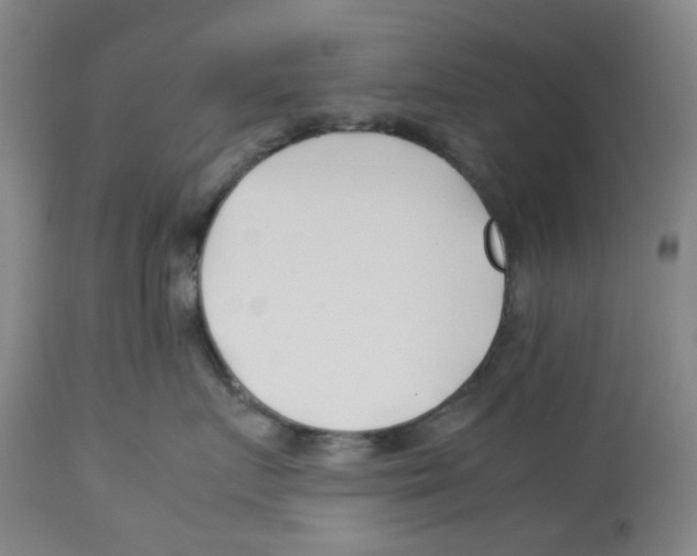 X0000113150719200910021502