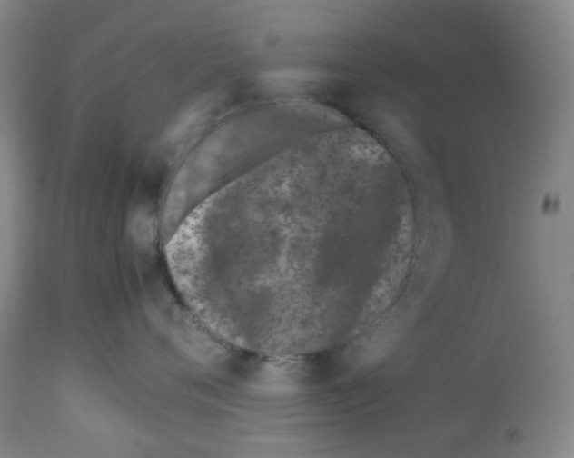 X0000113150720200910021502