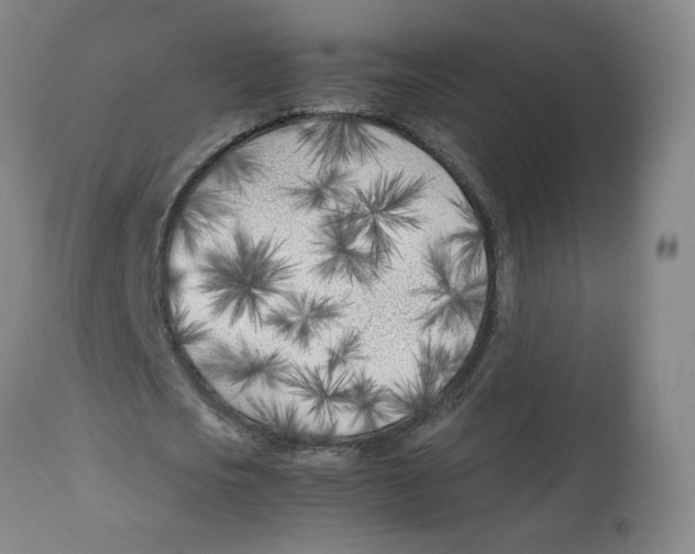 X0000113150721200910021501