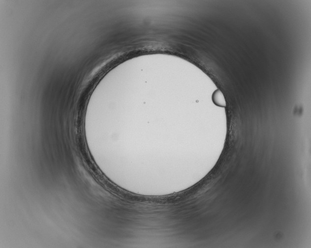 X0000113150722200910021501