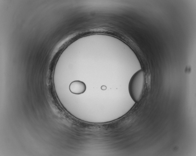 X0000113150724200910021501