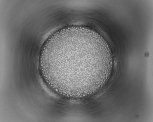 X0000113150725200910021501