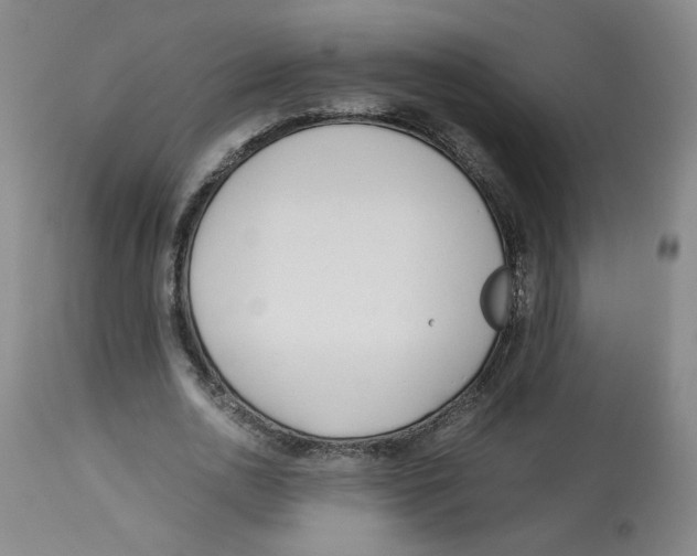 X0000113150726200910021501