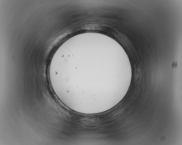 X0000113150727200910021501