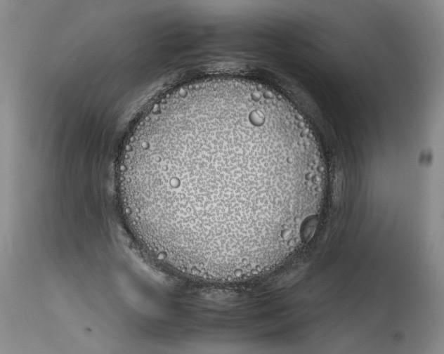 X0000113150729200910021502