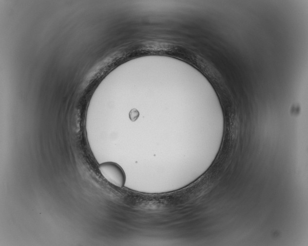 X0000113150731200910021502