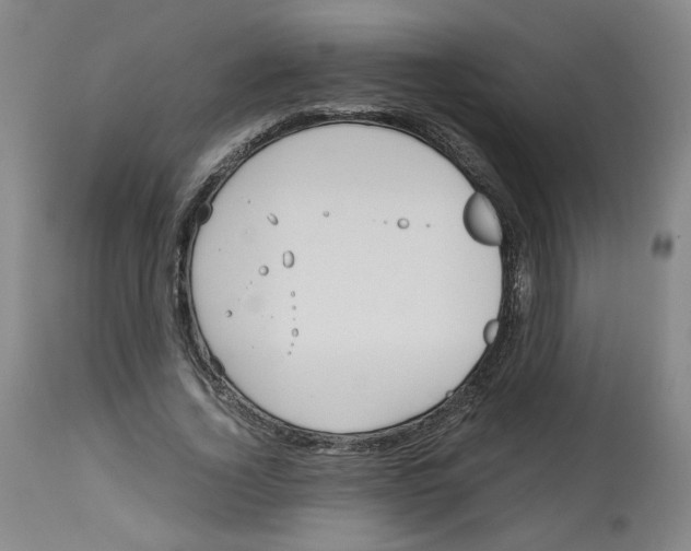 X0000113150732200910021502