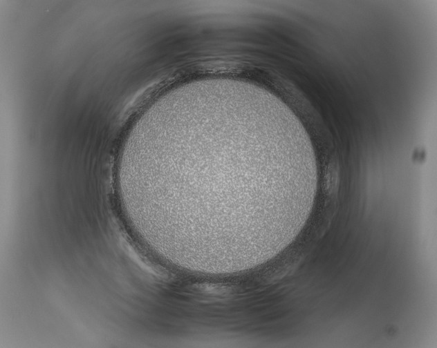 X0000113150733200910021502