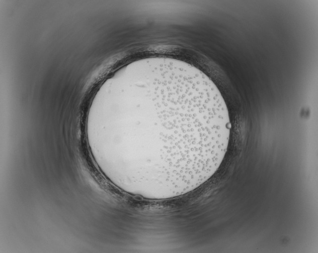 X0000113150734200910021502