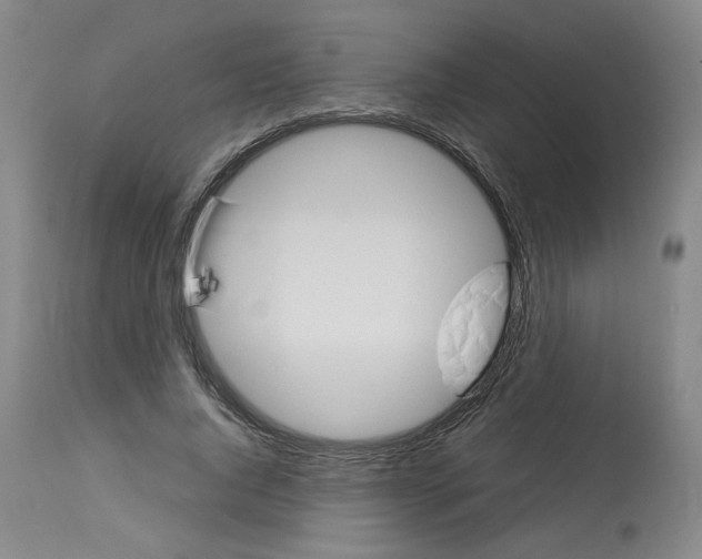 X0000113150736200910021502