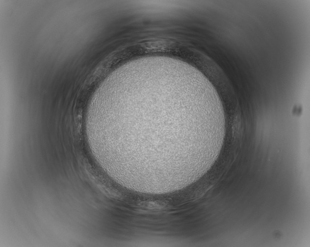 X0000113150737200910021502