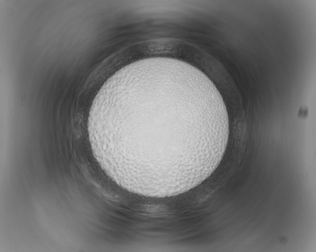 X0000113150741200910021502