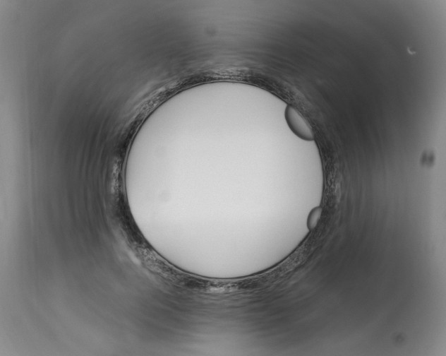 X0000113150744200910021502