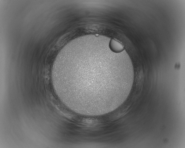 X0000113150749200910021502