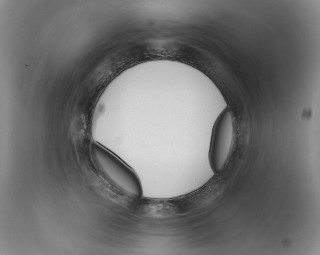 X0000113150752200910021502