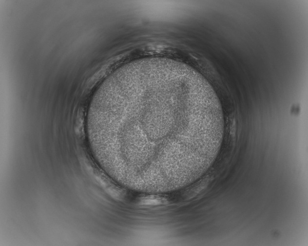 X0000113150754200910021502