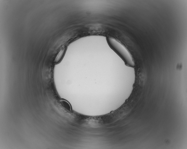 X0000113150756200910021502