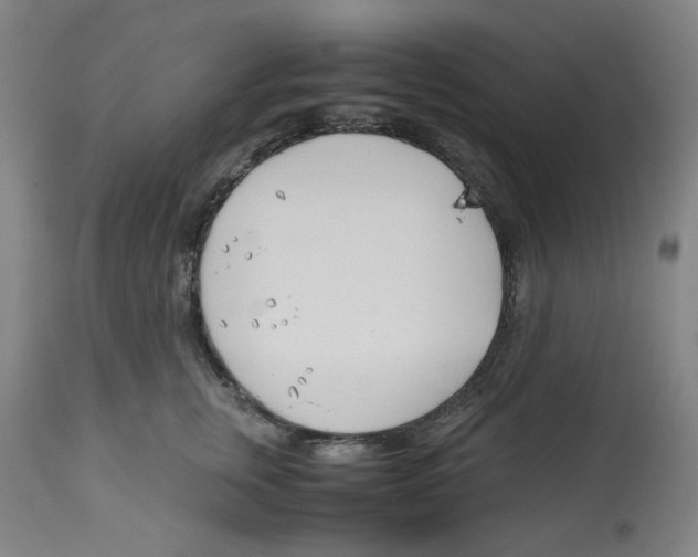 X0000113150759200910021502