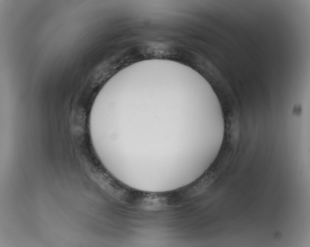 X0000113150760200910021502