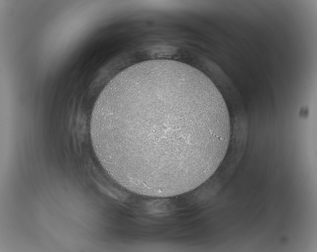 X0000113150761200910021502