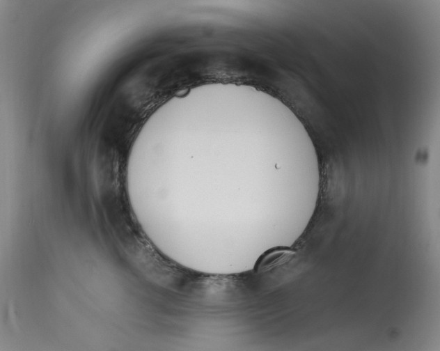 X0000113150762200910021502