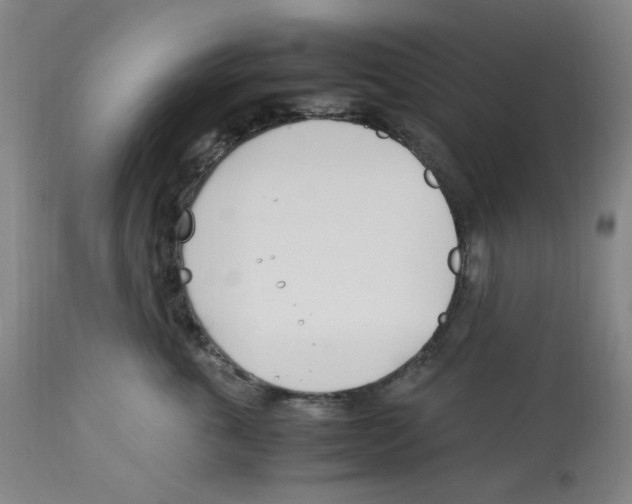 X0000113150763200910021502