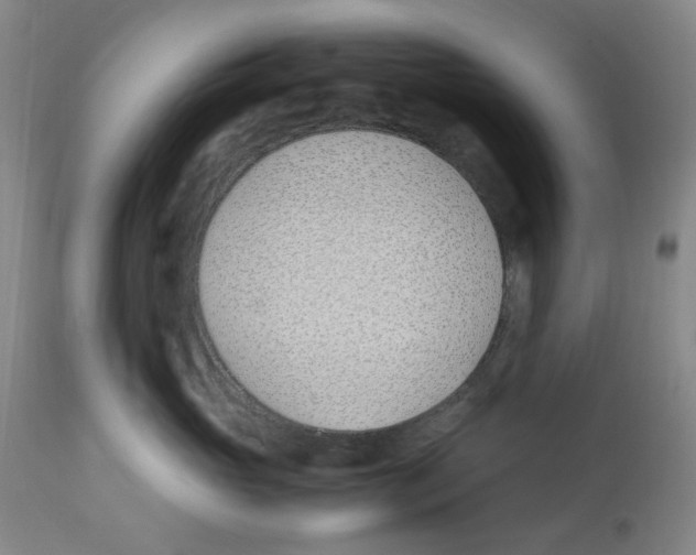 X0000113150765200910021502