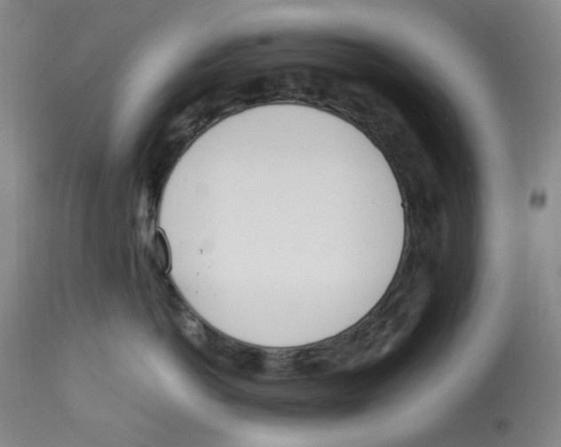 X0000113150766200910021502