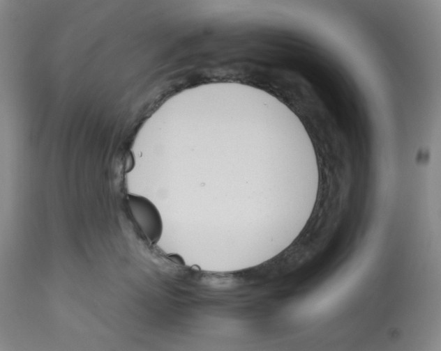 X0000113150767200910021502