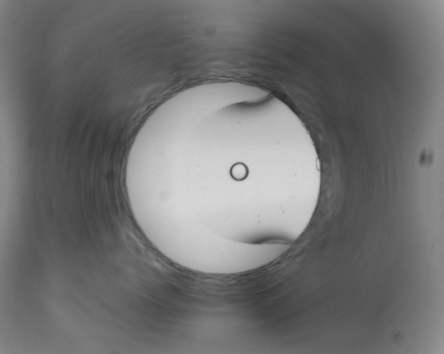 X0000113150768200910021502