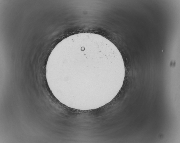 X0000113150769200910021501