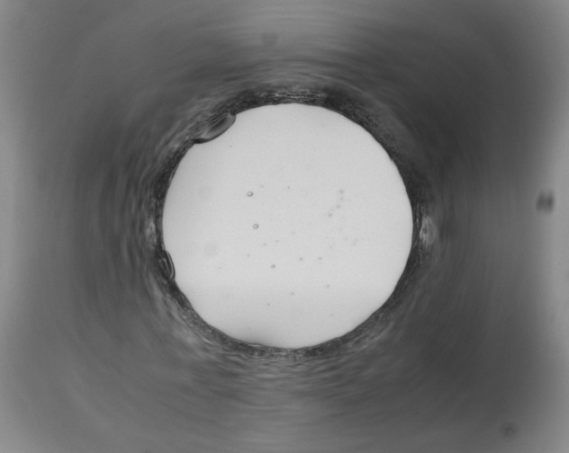 X0000113150771200910021501