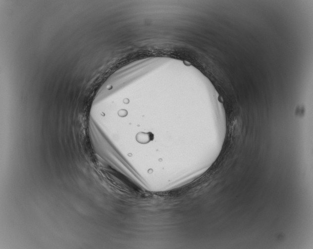 X0000113150772200910021501