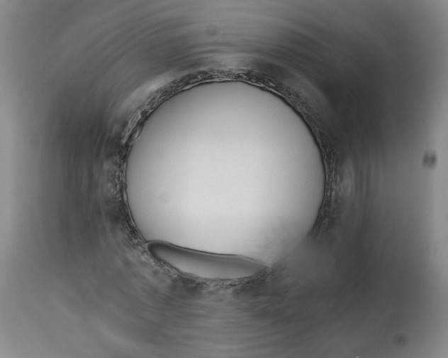 X0000113150773200910021501