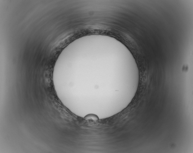 X0000113150774200910021501