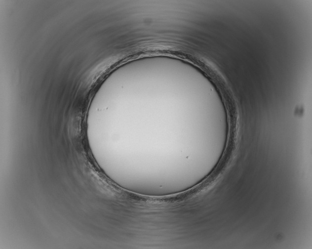 X0000113150777200910021501