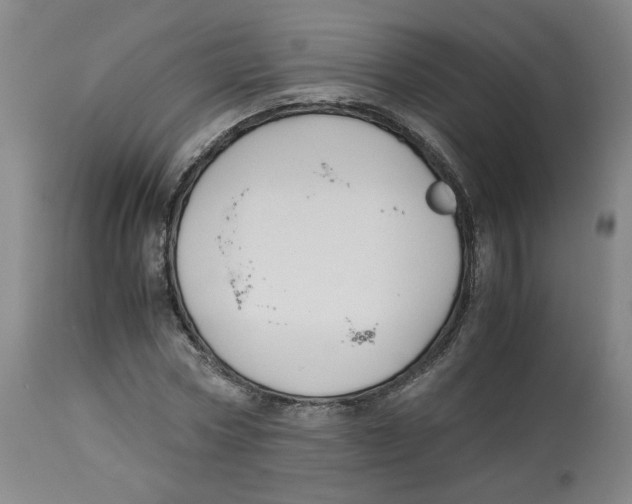 X0000113150778200910021501