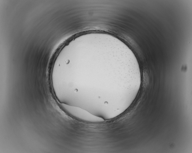 X0000113150780200910021501