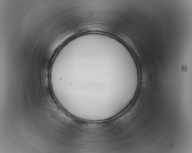 X0000113150782200910021501