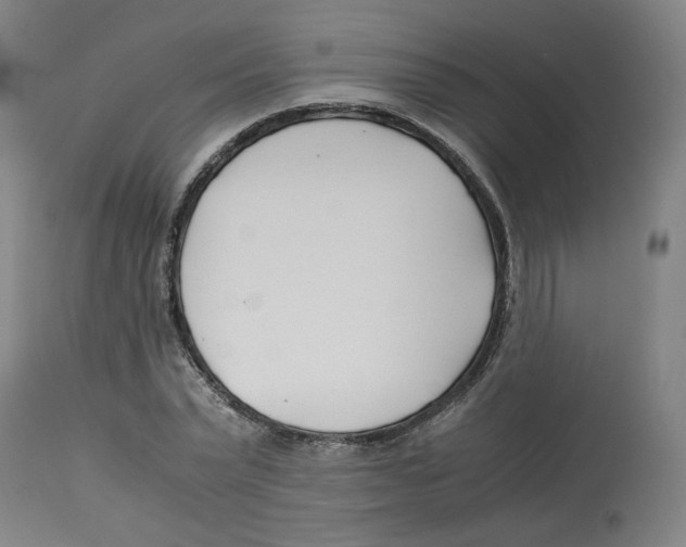 X0000113150783200910021501