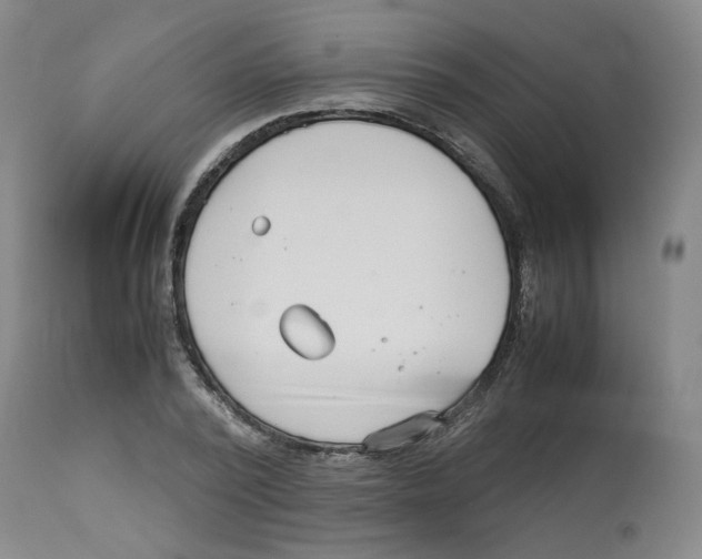 X0000113150784200910021501