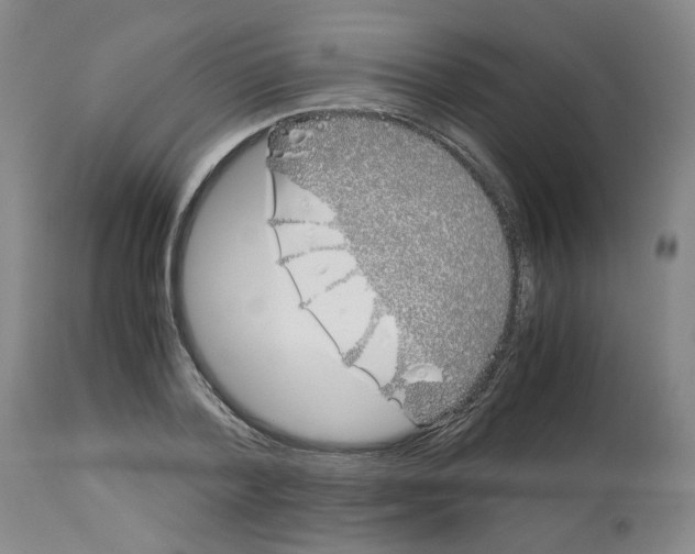 X0000113150788200910021501